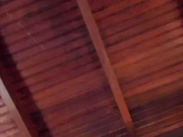 Bongacams Private Sex Chat of sophi-star