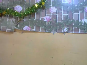 Bongacams Sex Cam of Sandiesexy