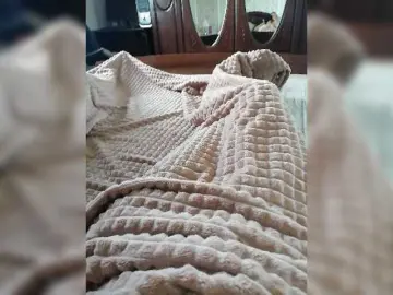 Bongacams Sex Cam of P-a-n-t-h-e-r