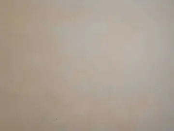 Bongacams Best Webcam of Nasty-Wet-pussyy