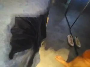 Cam4 Sex Cam of dotatvsampa