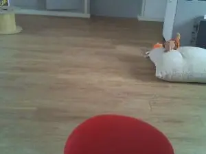 Cam4 Live Sex Cam of kad221