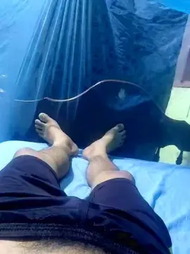 Cam4 Live Sex Cam of Luca_hu