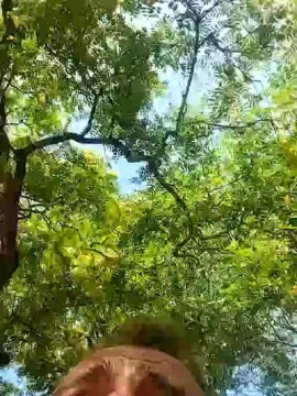 Cam4 Nude Webcam of Hedagaricam