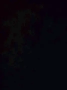Cam4 Adult Webcam of Spiderdickmanpt