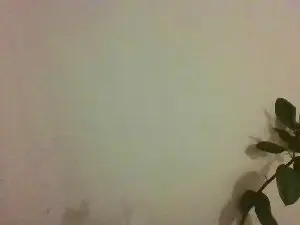 Cam4 Live Sex Cam of Love_Lala