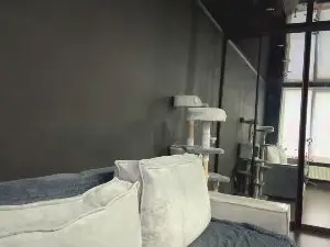Cam4 Best live sex cam show of SierraSmelcer