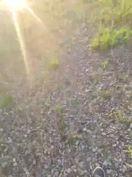 Cam4 Live Porn of No_Name82XxX