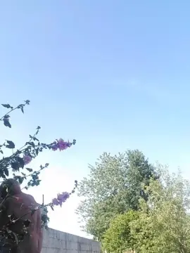 Cam4 Live Porn of Suisavous