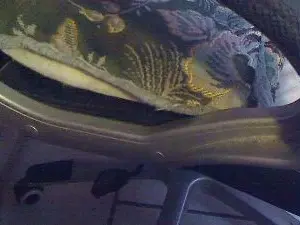 Cam4 Watch Live Sex Cams of kleiner50