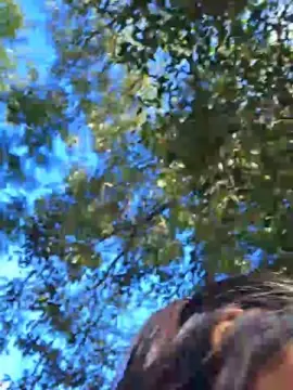 Cam4 Live Sex of Mssady