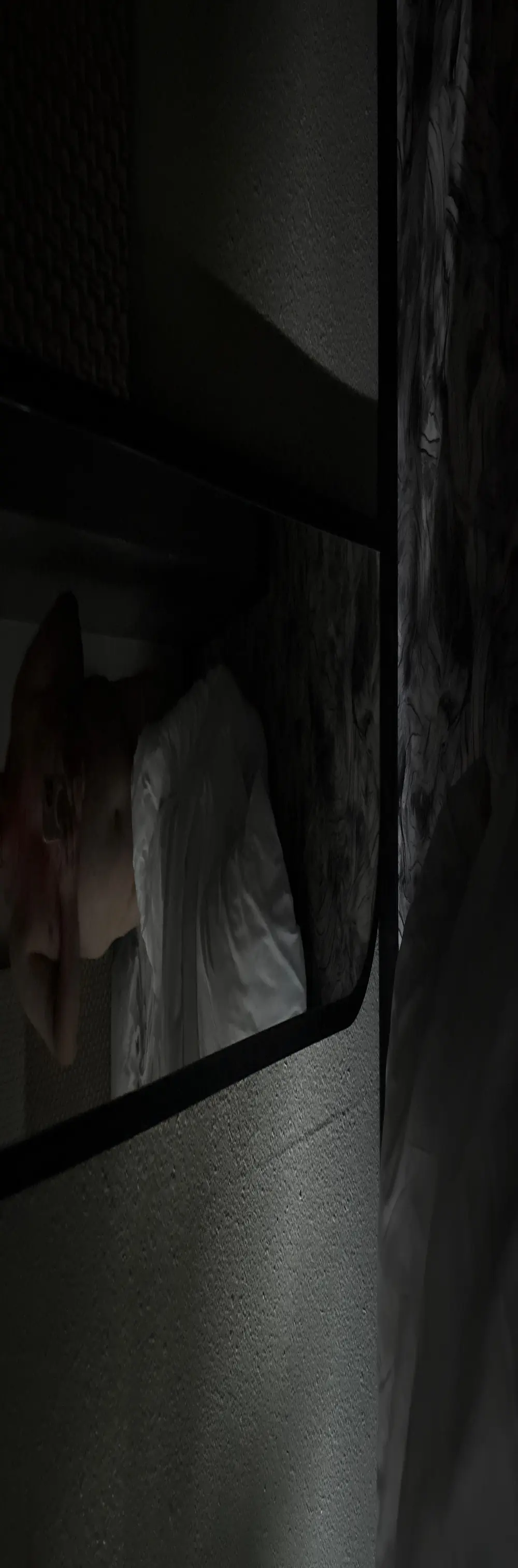 libidoys