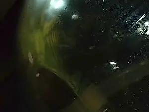 Cam4 Adult Webcam of beard_man_sexy
