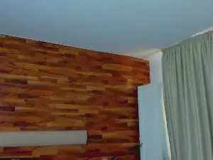 Cam4 Best Webcam of IvanHyde