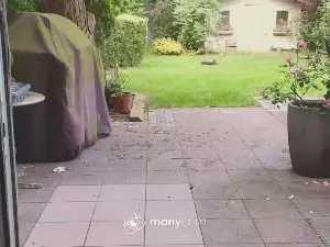 Cam4 Private Sex Chat of string_boy42