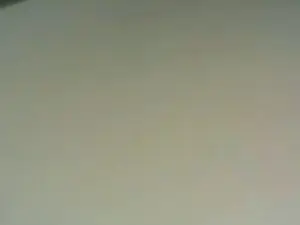 Cam4 Adult Webcam of ANGEL77x