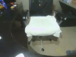 Cam4 Adult Webcam of BrosWebsite