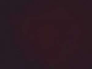 Cam4 Adult Webcam of dileilei2