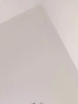 Cam4 Watch Live Sex Cams of Novinpauz