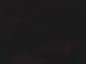 Cam4 Adult Video Chat of lishrimpdick