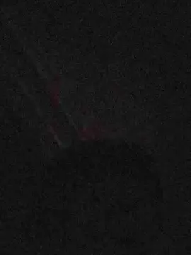 Cam4 Adult Video Chat of gordito66
