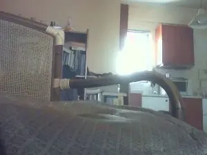 Cam4 Adult Webcam of antpa803