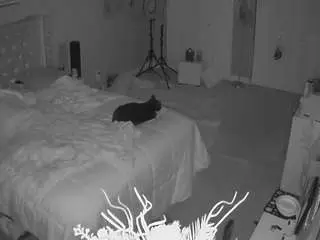 Camsoda Adult Webcam of voyeurcam-house-charleys-room