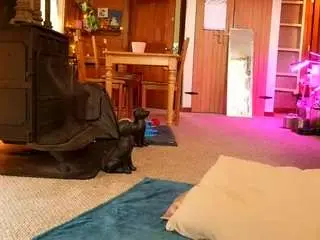 Camsoda Private Sex Chat of sashababes