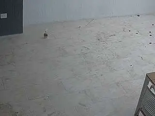 Camsoda Free Live Porn of voyeurcam-casa-salsa-panoramic