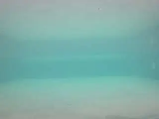 Camsoda Live Sex of voyeurcam-casa-salsa-pool-1