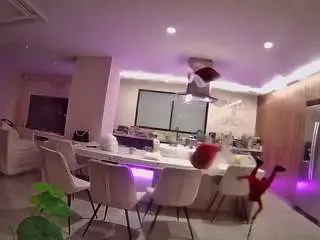 Camsoda Sex Cam of voyeurcam-casa-salsa-fishtank
