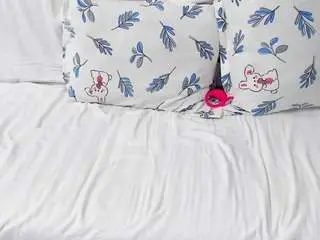 Camsoda Best Webcam of toramika