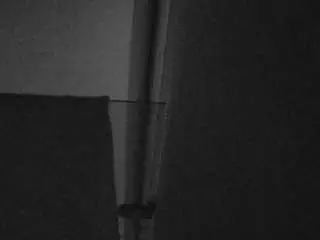 Camsoda Sex Cam of voyeurcam-casa-salsa-bathroom-7