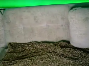 Chaturbate Sex Chat of maisonbastian