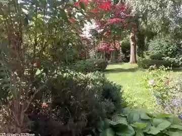 Chaturbate Adult Webcam of patry333