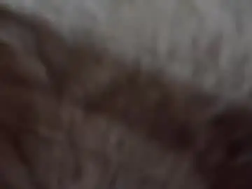 Chaturbate Free Live Porn of laylabrasil