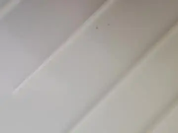 Chaturbate Best live sex cam show of zaingadol99