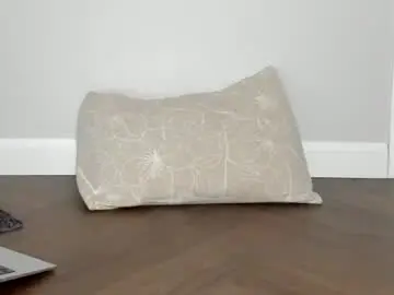 Chaturbate Adult Webcam of bigtroublelittlechina