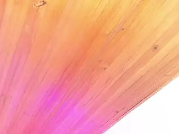 Chaturbate Live Sex Cam of irisbeel
