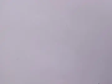 Chaturbate Free Live Porn of wendy_franco