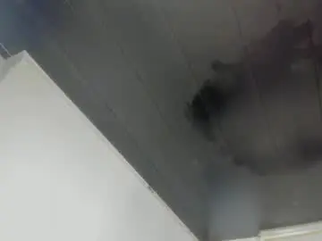 Chaturbate Live Sex of lola_js