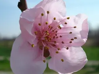 Streamate Sex Cam of Sognox