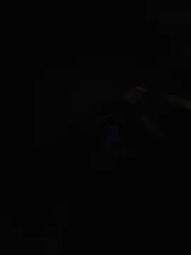 Stripchat Watch Live Sex Cams of BlackD4uxo