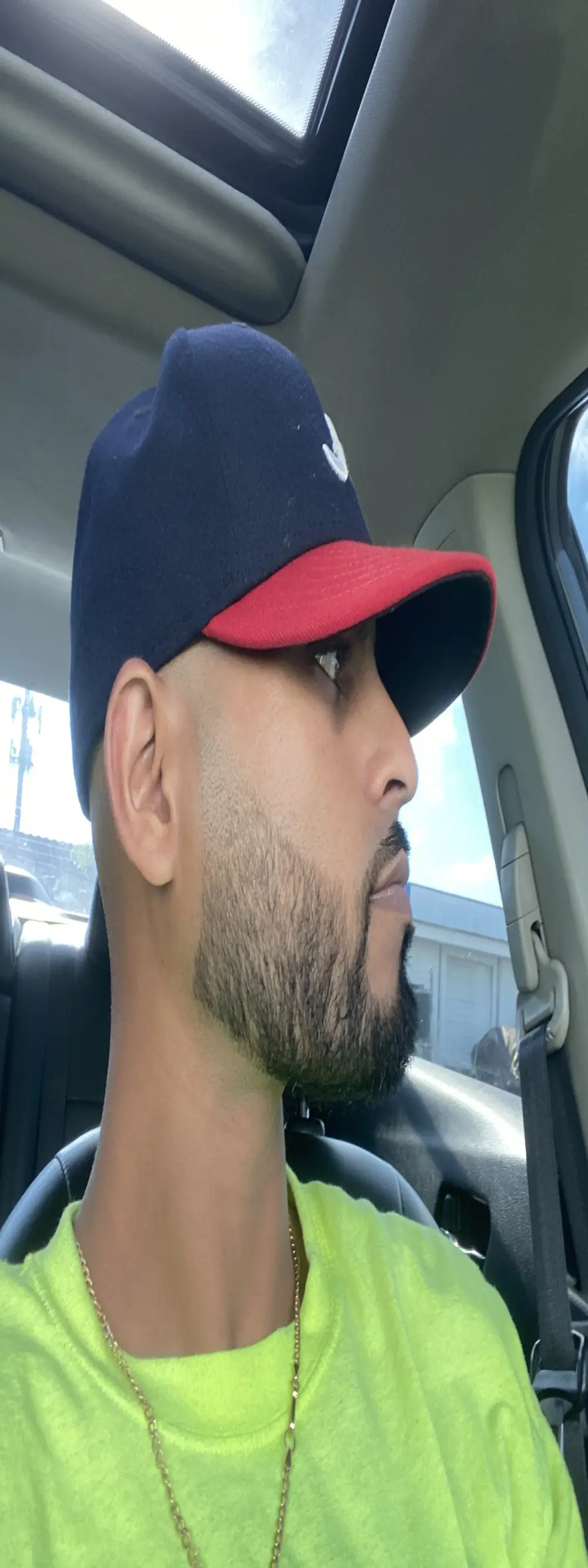 islandvybee55