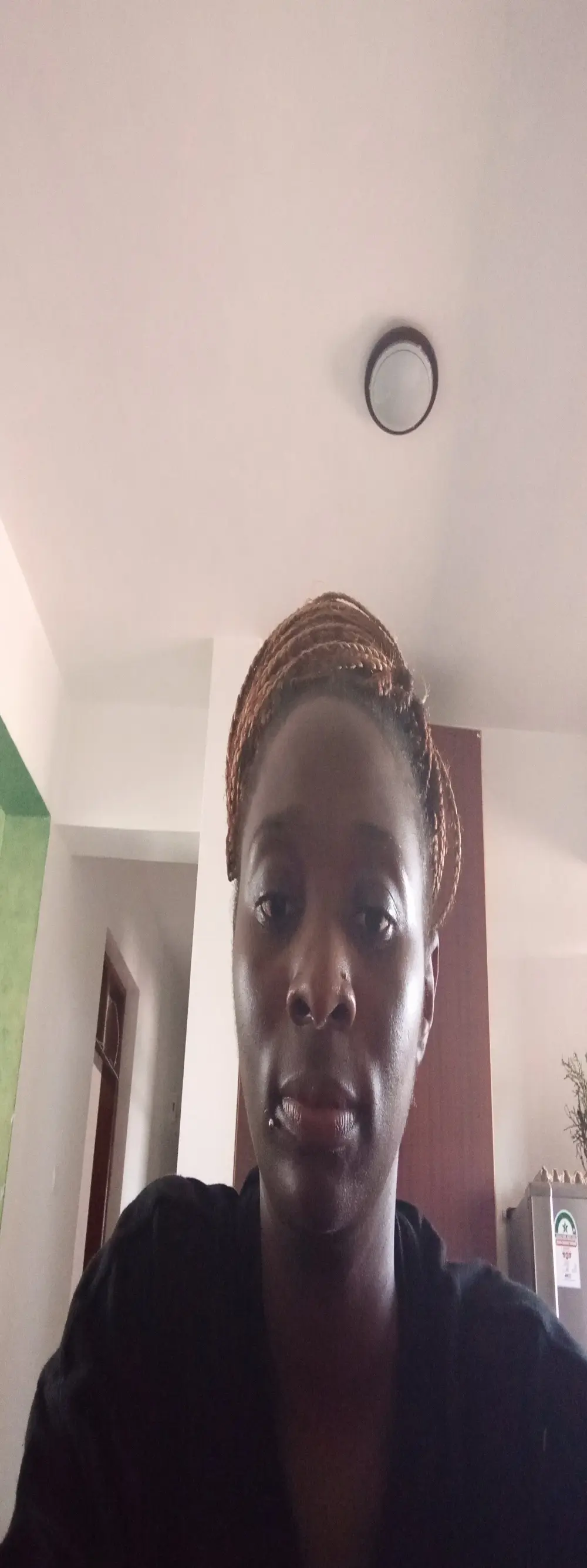 lolaslatary1