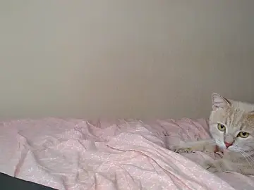 Stripchat Live Porn of Just_alice