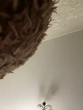 Stripchat Best live sex cam show of Poly_Nick