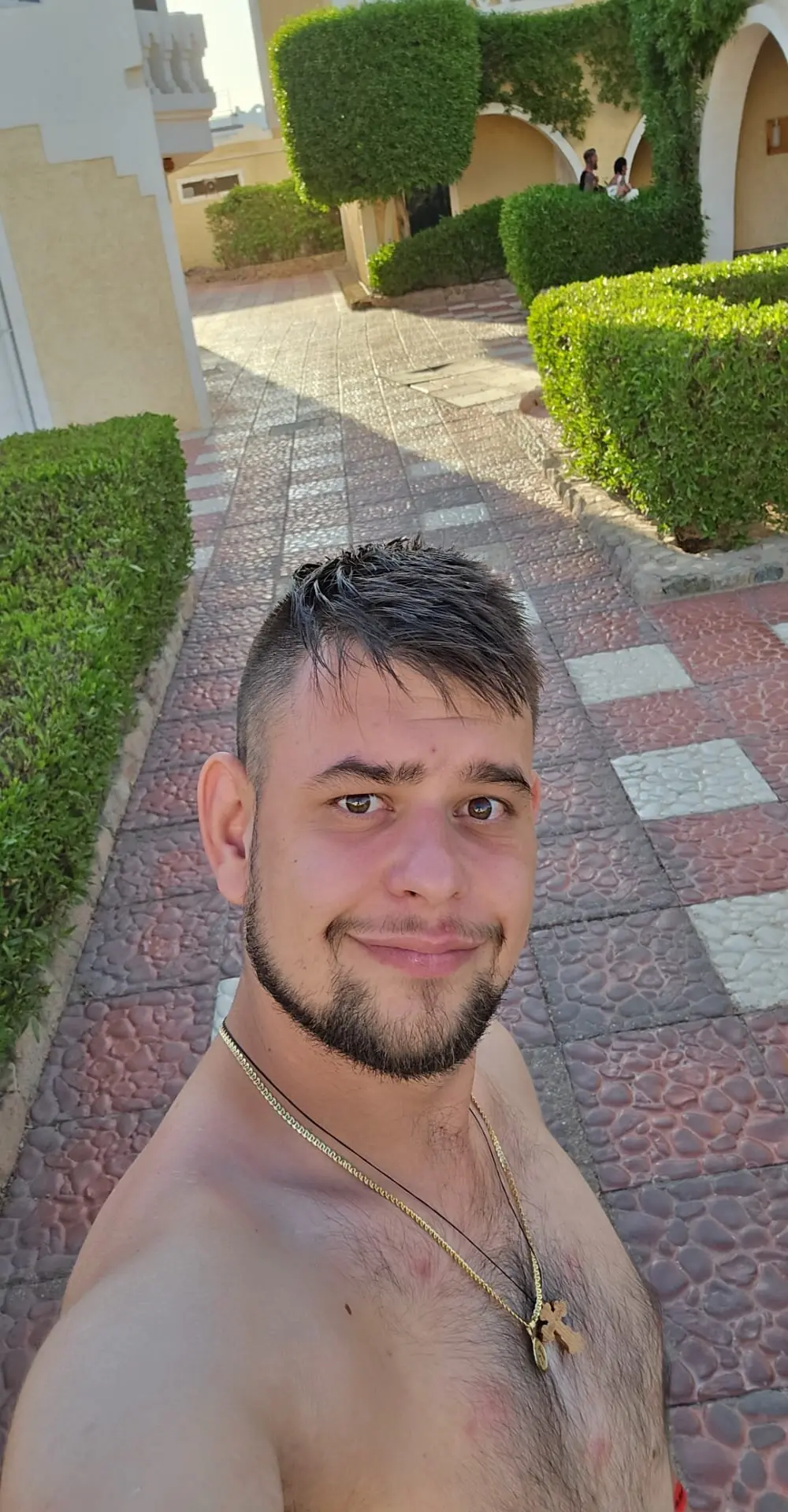 lapa525