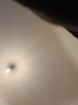 Stripchat Free Porn Cam of Levarboy