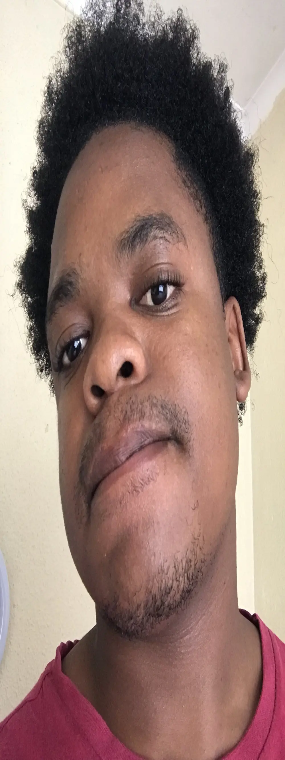 Sirbemine